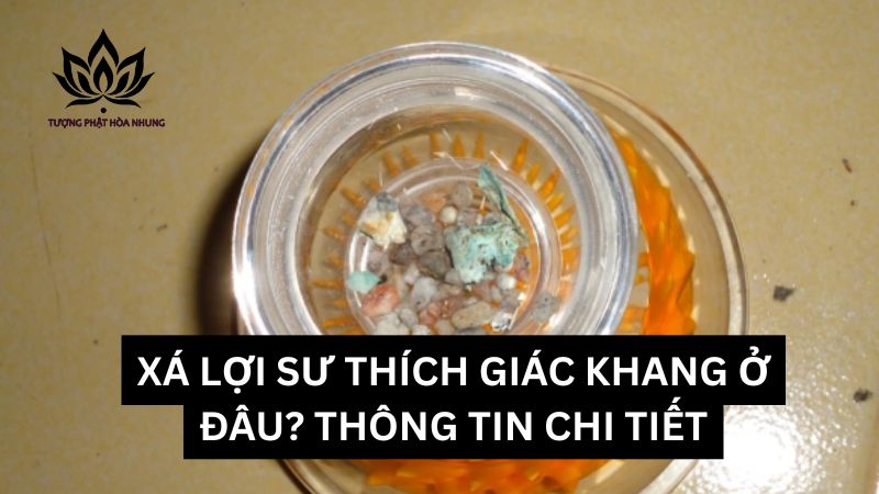 xa-loi-su-thich-giac-khang-o-dau