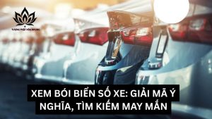xem-boi-bien-so-xe