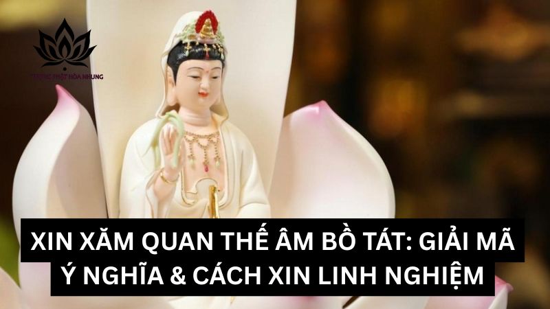 xin-xam-quan-the-am-bo-tat (2)
