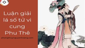 Luận Giải Chi Tiết Ý Nghĩa Sao Tử Vi Cung Phu Thê