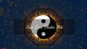 Cách Xác Định Sao Thiên Mã Ở Cung Phu Thê Trong Lá Số Tử Vi