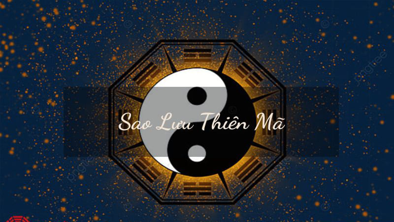Cách Xác Định Sao Thiên Mã Ở Cung Phu Thê Trong Lá Số Tử Vi
