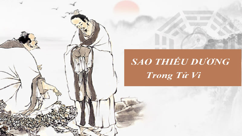 Tác Động Của Thiếu Dương Cung Phu Thê Đến Đời Sống Hôn Nhân