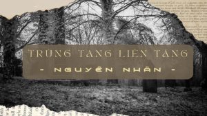 Trùng Tang Liên Táng Là Gì? Giải Thích Chi Tiết Nhất