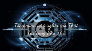 Luận Giải Chi Tiết Tử Vi Cung Phu Thê