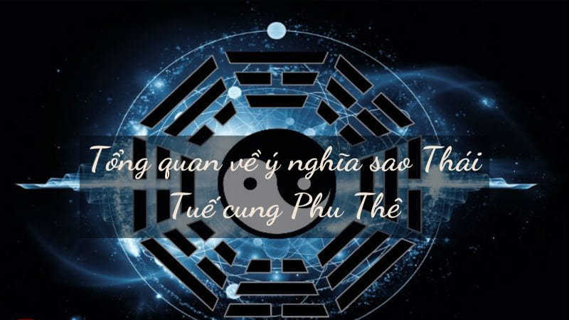 Luận Giải Chi Tiết Tử Vi Cung Phu Thê
