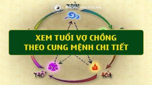 Xem Cung Mệnh Vợ Chồng: Tìm Hiểu Chi Tiết và Cách Áp Dụng